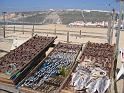 i_nazare_lukter_det_fisk
