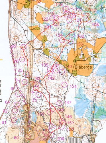 tiomila06_annika_liten