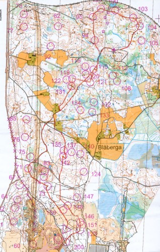 tiomila06_elisabeth_liten