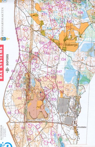 tiomila06_lene_liten