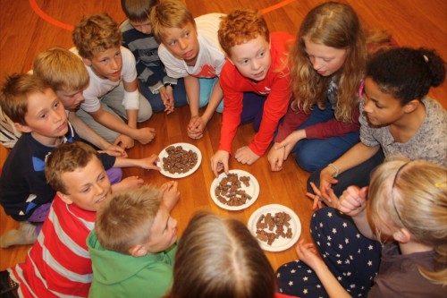 Bilder_samling_Maridalen