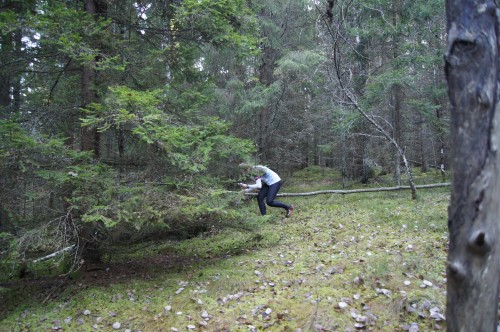 Ingeborg