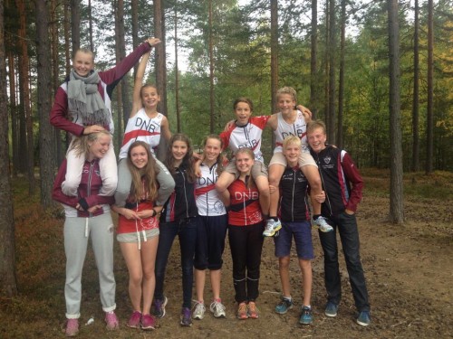Modum samling