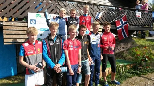 palllen h16